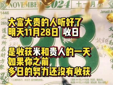 11月28星座